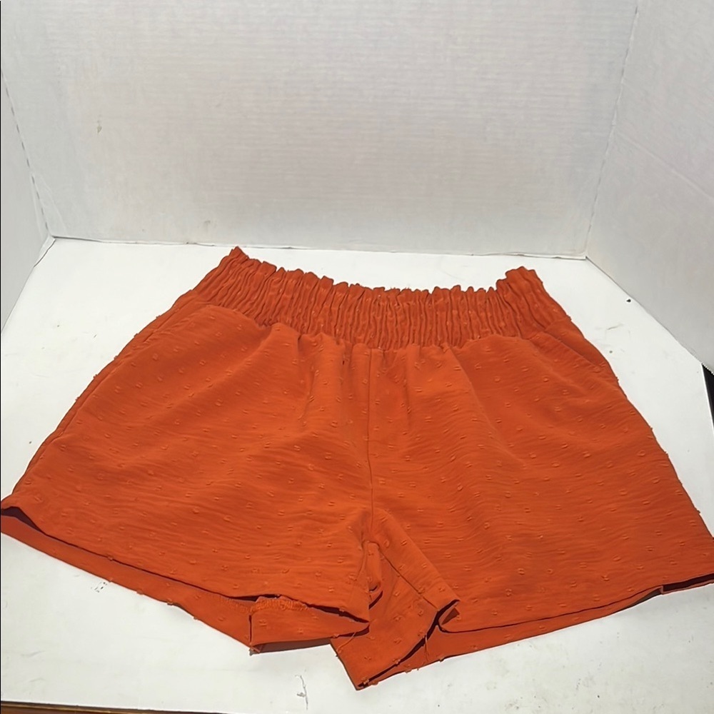 Misia Women's Orange Shorts